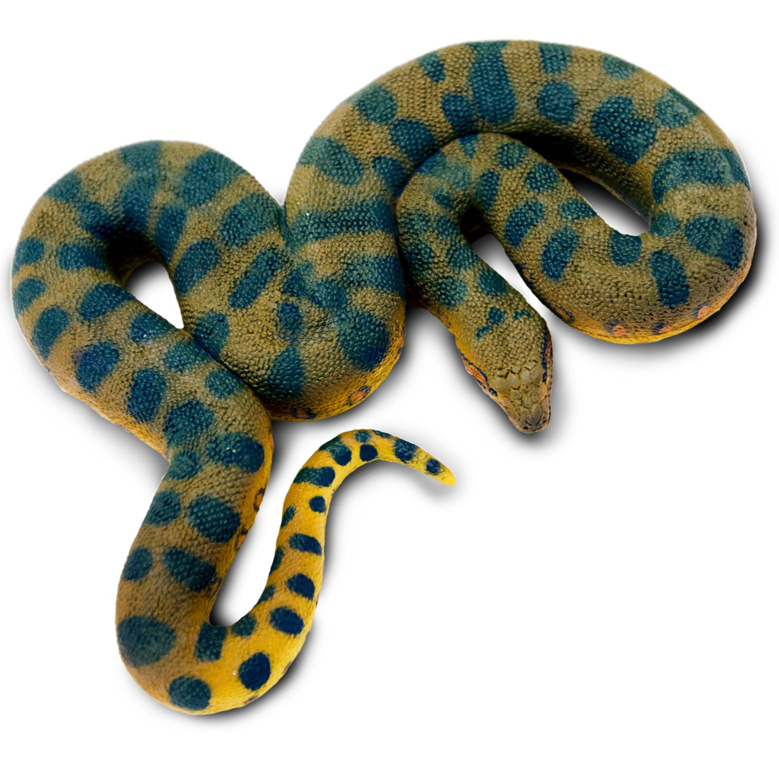 Green Anaconda Snake Toy Figure |  | Safari Ltd®