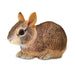 Eastern Cottontail Rabbit Baby - Safari Ltd®