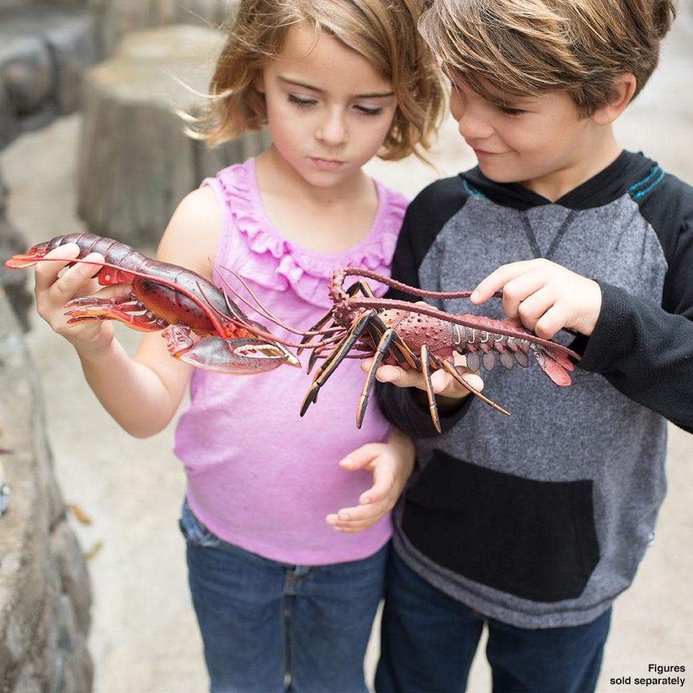 Maine Lobster Toy | Incredible Creatures | Safari Ltd®