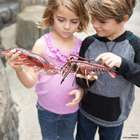 Maine Lobster Toy | Incredible Creatures | Safari Ltd®