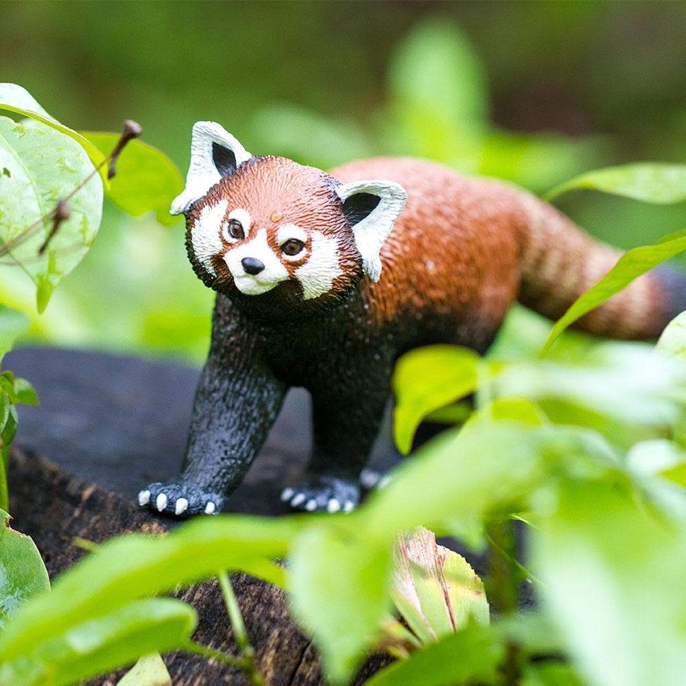 ★バラ売り可能★ Red Panda Tensor + Remote4 Red Panda Toy Figurine | Safari Ltd® Wild Wildlife Collection