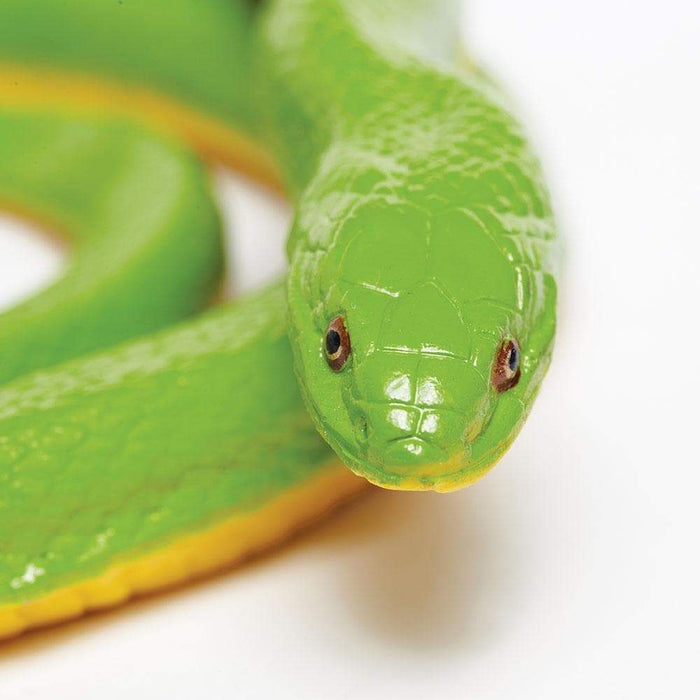 Rough Green Snake Toy | Incredible Creatures | Safari Ltd®