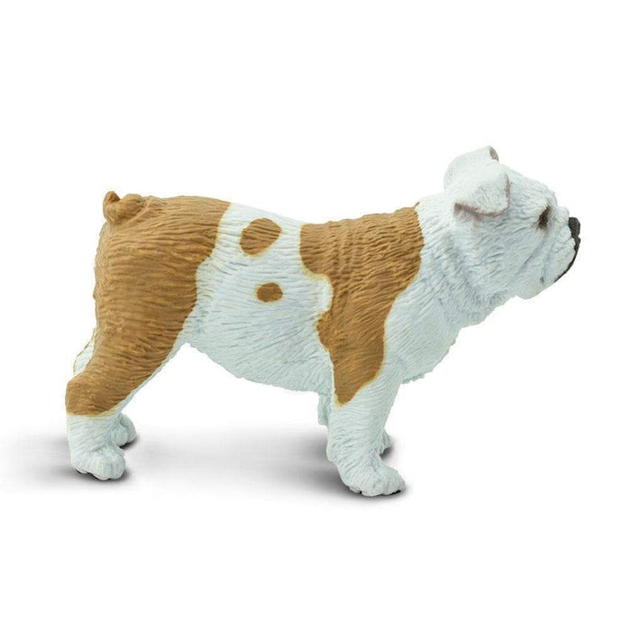 Bulldog Toy | Farm | Safari Ltd®