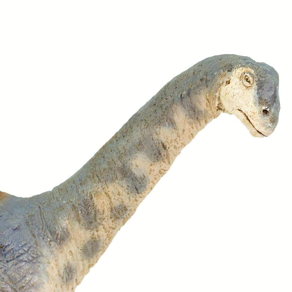 Camarasaurus Toy | Dinosaur Toys | Safari Ltd®