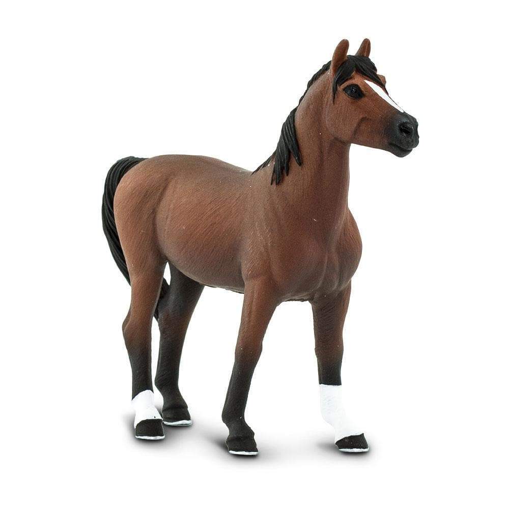 Morgan Stallion Toy | Farm | Safari Ltd®