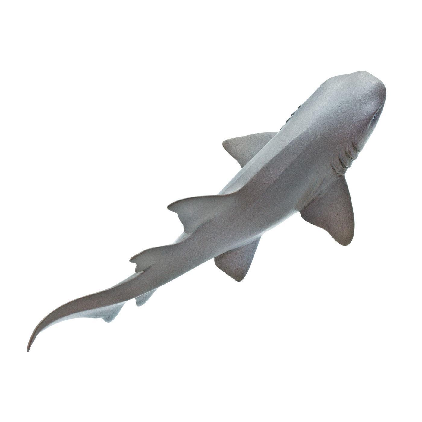 Nurse Shark Toy | Sea Life | Safari Ltd®