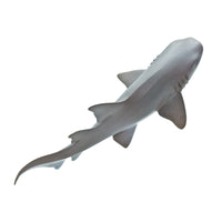 Nurse Shark Toy | Sea Life | Safari Ltd®