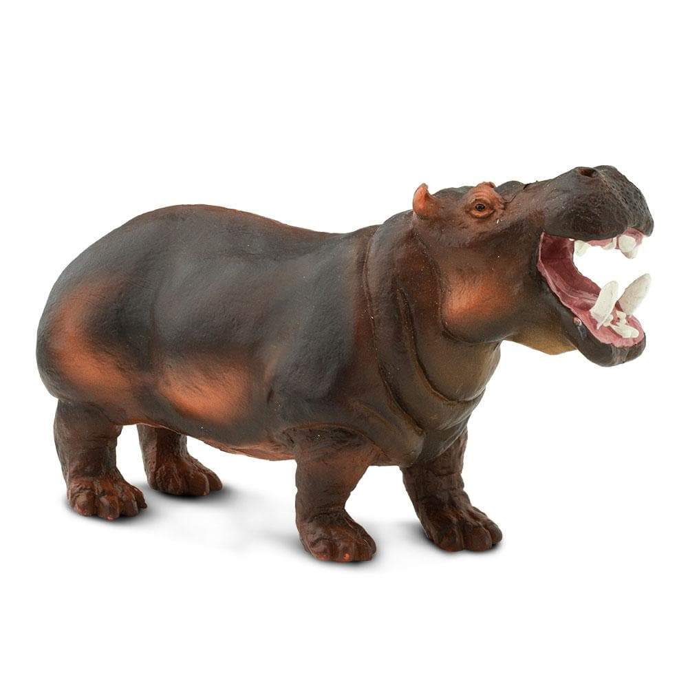 Hippopotamus Toy | Wildlife Animal Toys | Safari Ltd®