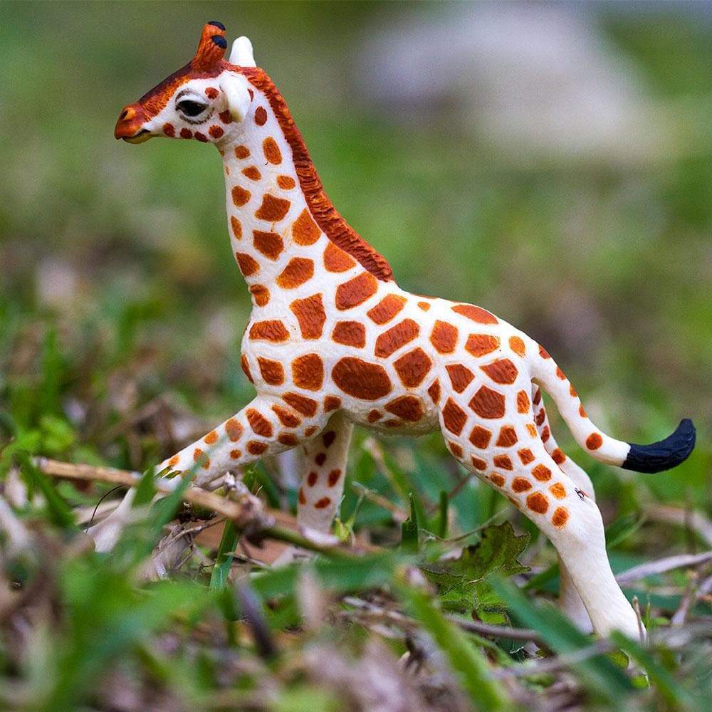 Reticulated Giraffe Baby Toy | Wildlife Animal Toys | Safari Ltd®