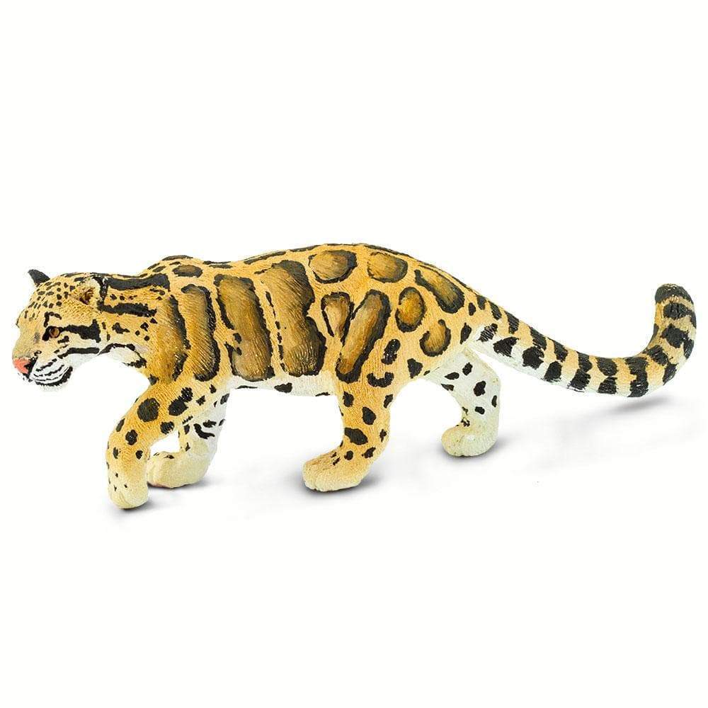 Clouded Leopard | Safari Ltd®