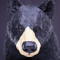Black Bear Toy | Wildlife Animal Toys | Safari Ltd®