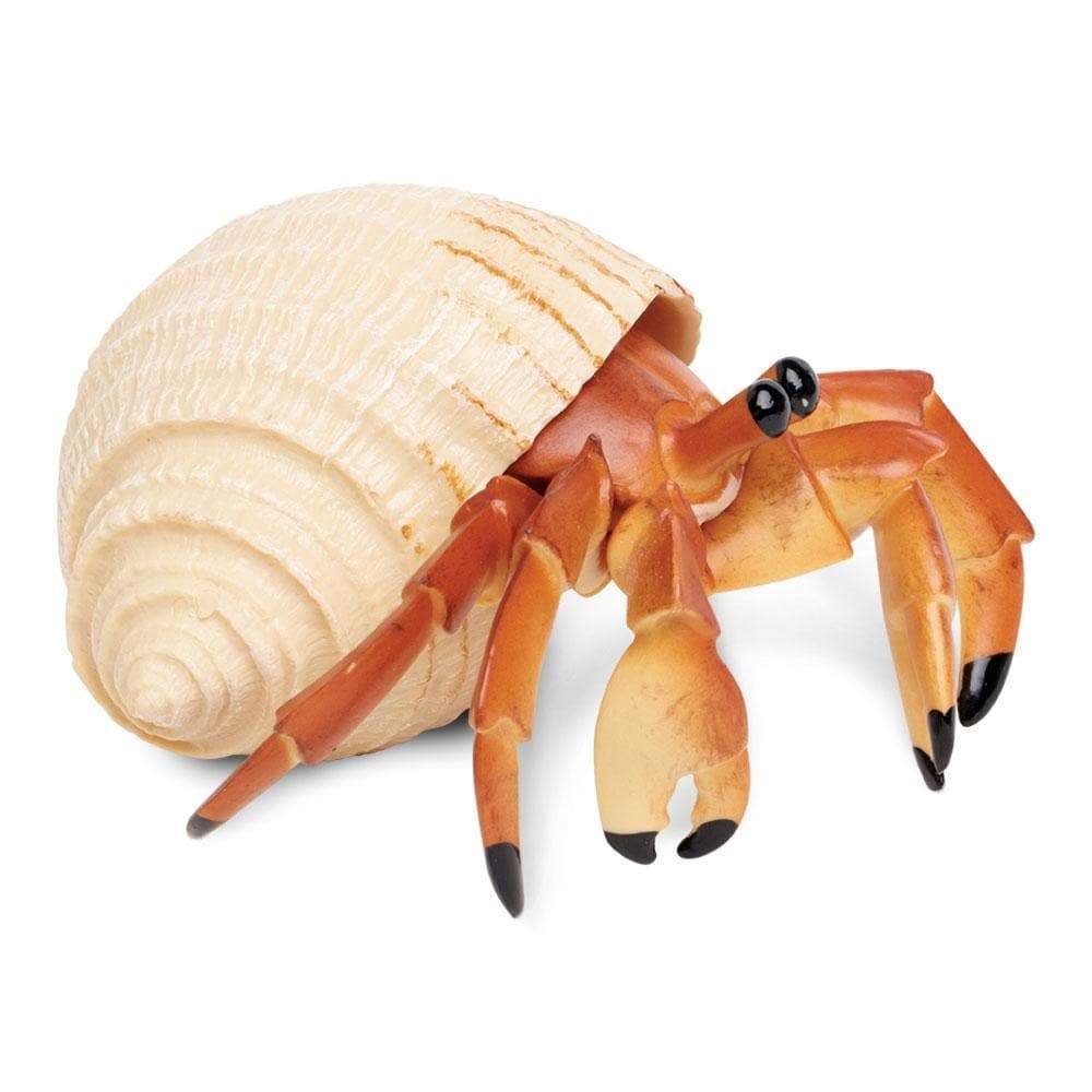 Realistic Hermit Crab Figurine | Safari Ltd® Toy Animal | Safari Ltd®