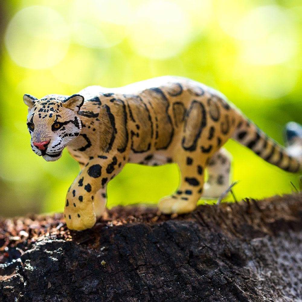 Clouded Leopard | Safari Ltd®