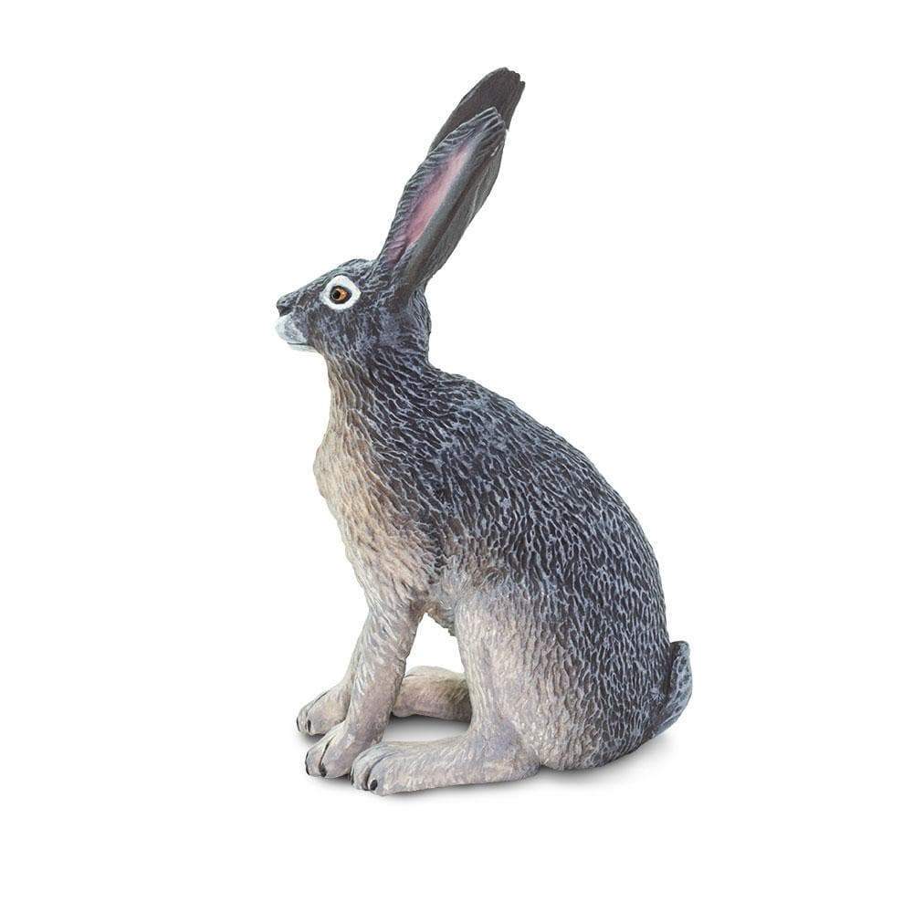 American Desert Hare Toy | Wildlife Animal Toys | Safari Ltd®