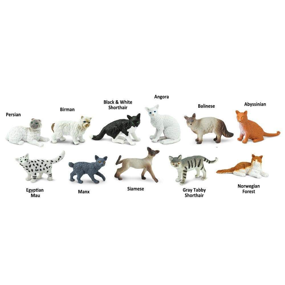 Domestic Cats TOOB® - 11 Cat Breeds Figurines | Non-Toxic, BPA