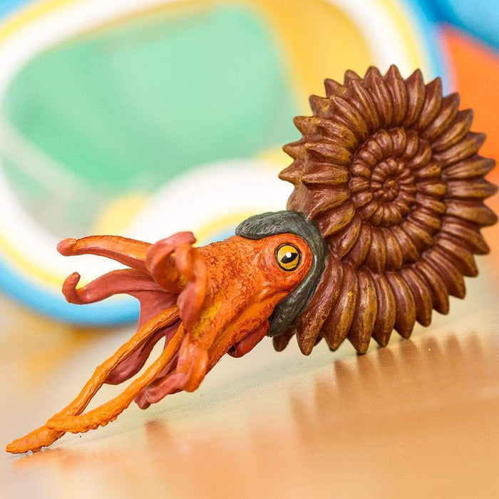 Ammonite Toy | Dinosaur Toys | Safari Ltd.