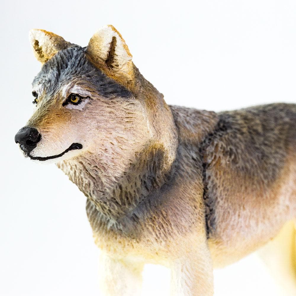 Gray Wolf Toy | Wildlife Animal Toys | Safari Ltd®
