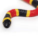 Coral Snake Baby Toy | Incredible Creatures | Safari Ltd®