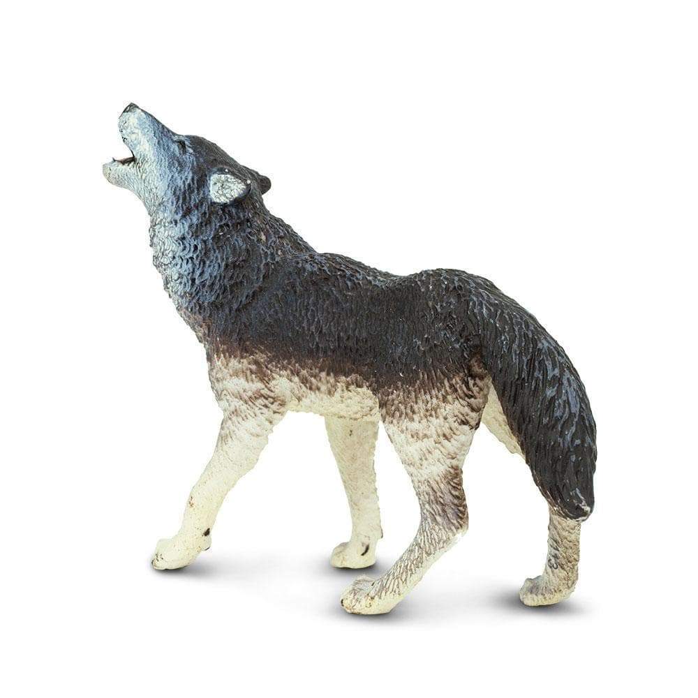 Gray Wolf Toy | Safari Ltd®