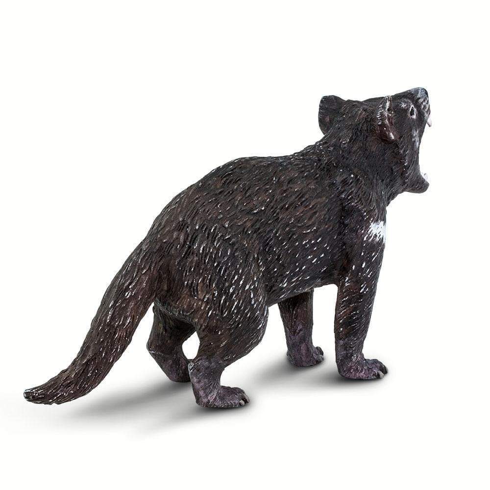 Tasmanian Devil Toy | Wildlife Animal Toys | Safari Ltd®