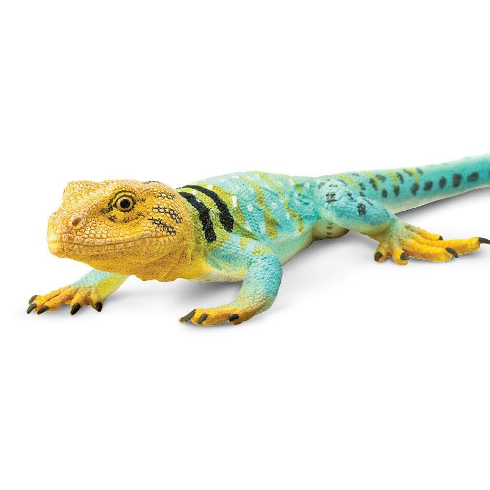 Collared Lizard Toy | Incredible Creatures | Safari Ltd®