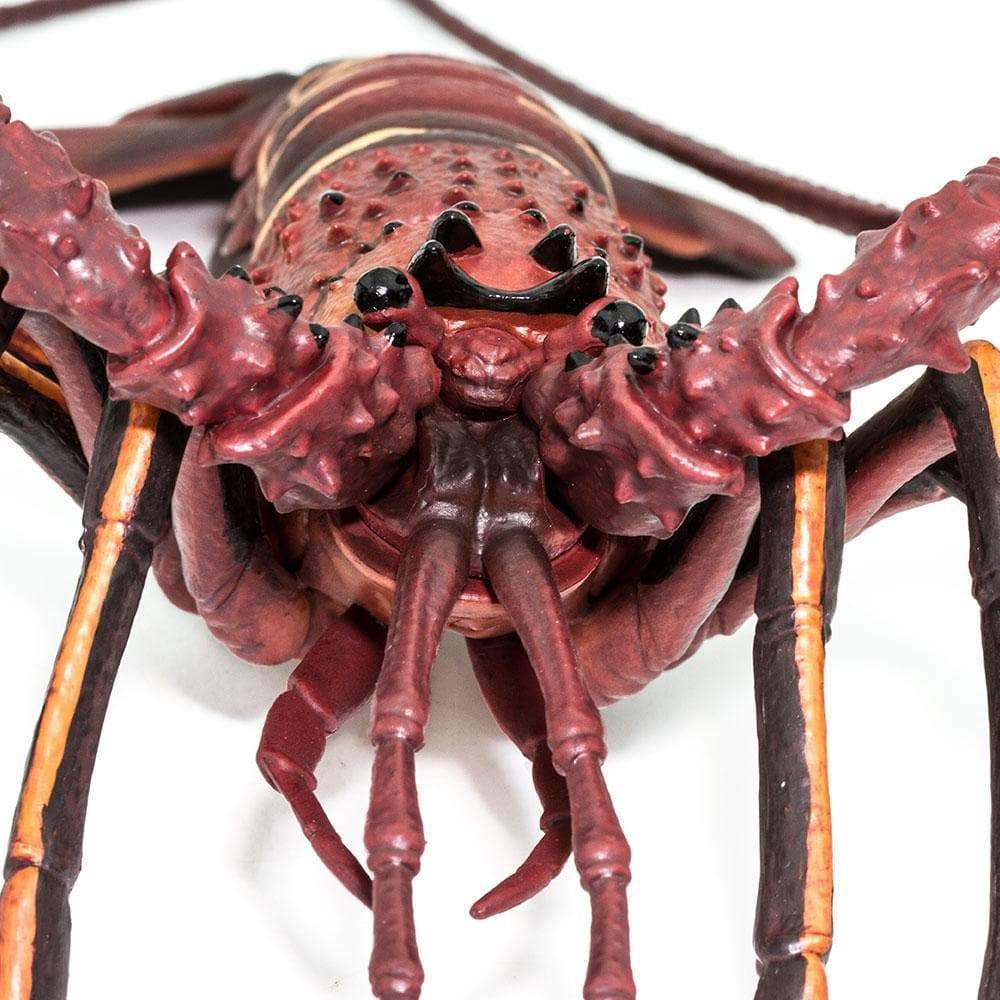 Spiny Lobster Toy | Incredible Creatures | Safari Ltd®