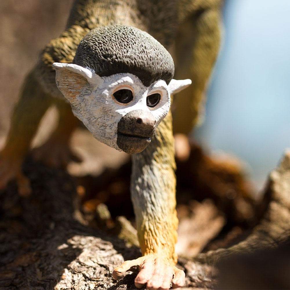 Squirrel Monkey Toy | Incredible Creatures | Safari Ltd®