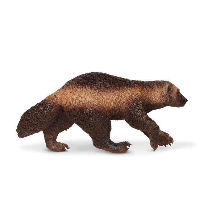 Wolverine Toy | Wildlife Animal Toys | Safari Ltd®