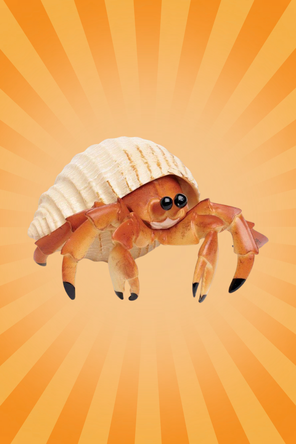 Safari Surprise Box ($50 Value Surprise for Spending $100)