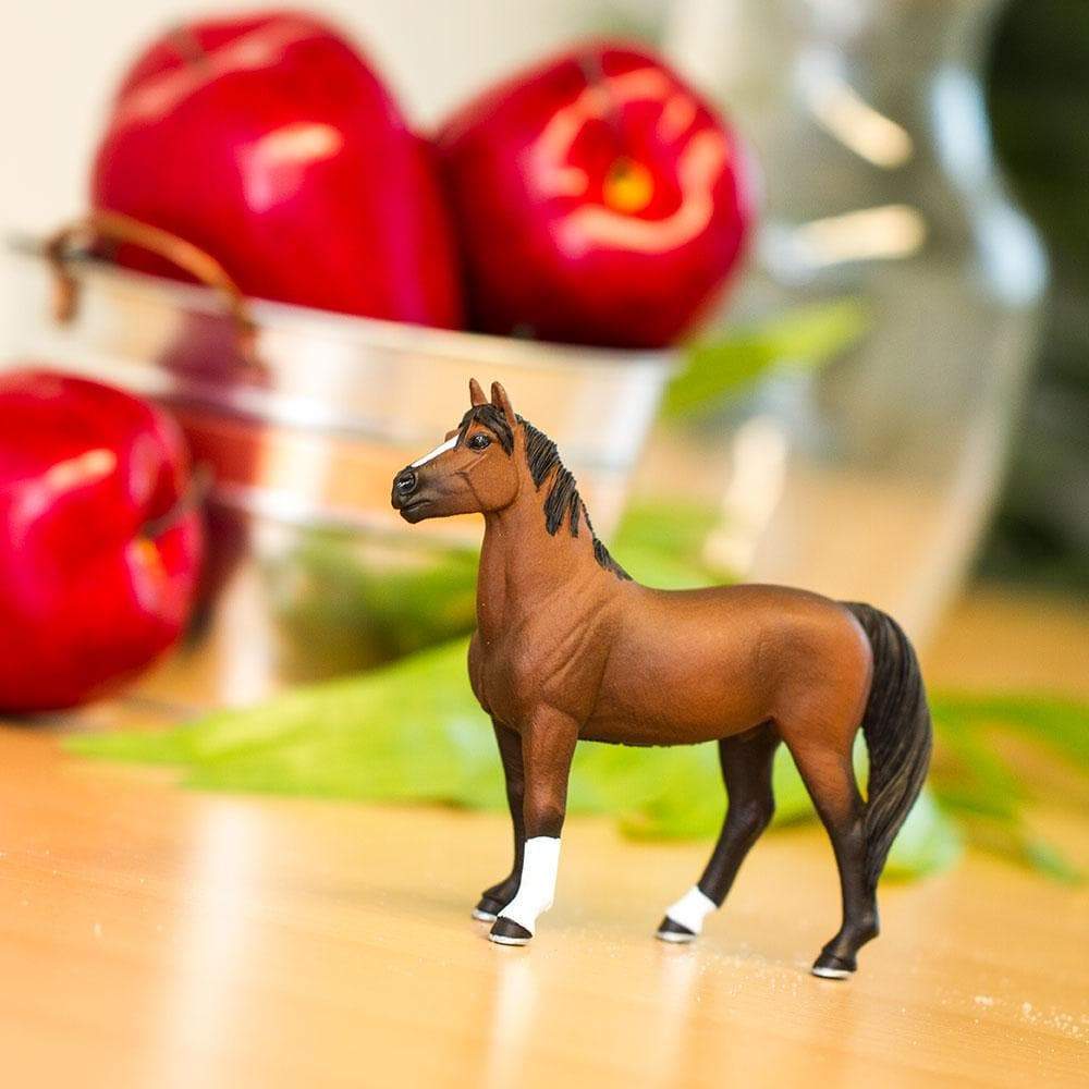 Morgan Stallion Toy | Farm | Safari Ltd®