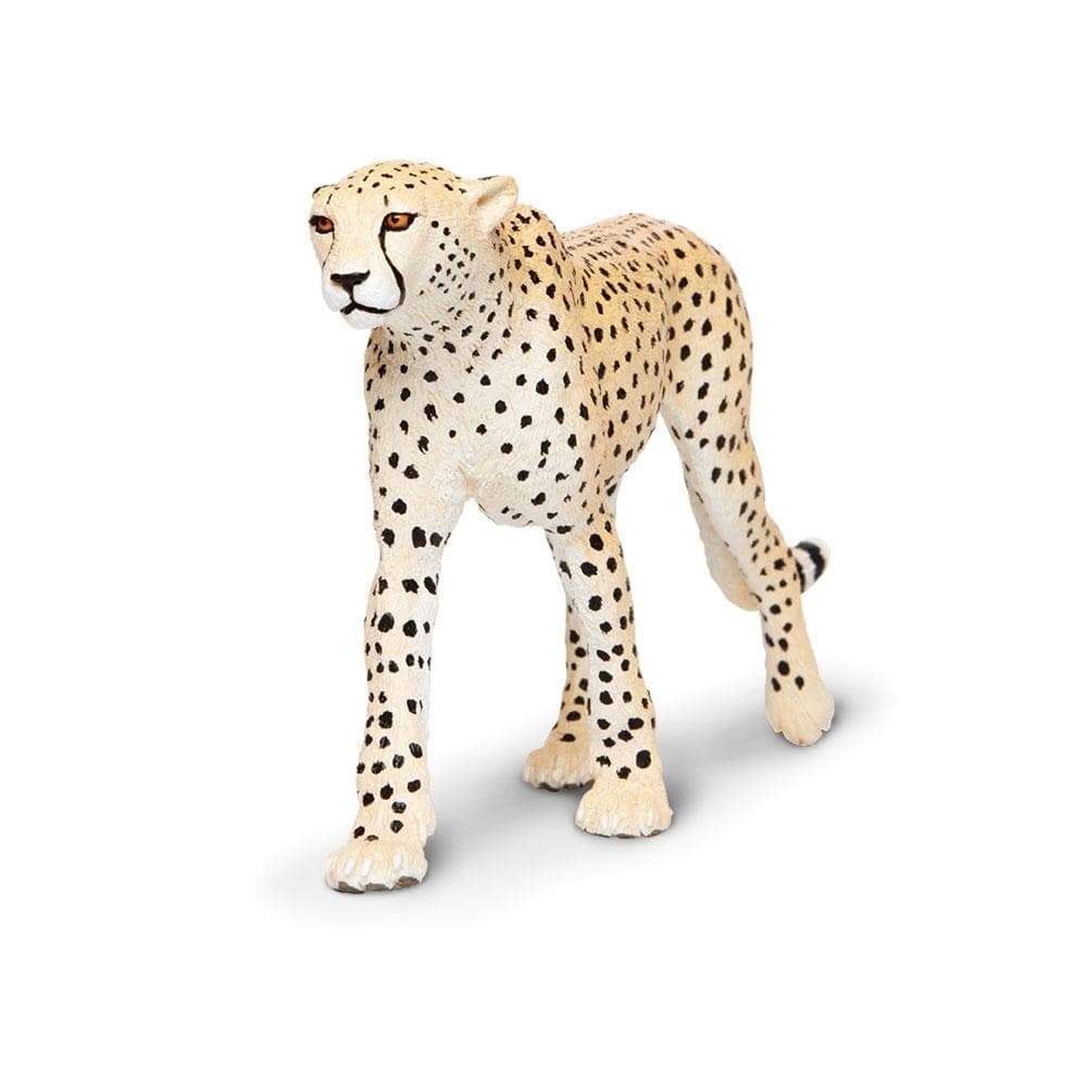 Cheetah Toy | Wildlife Animal Toys | Safari Ltd®