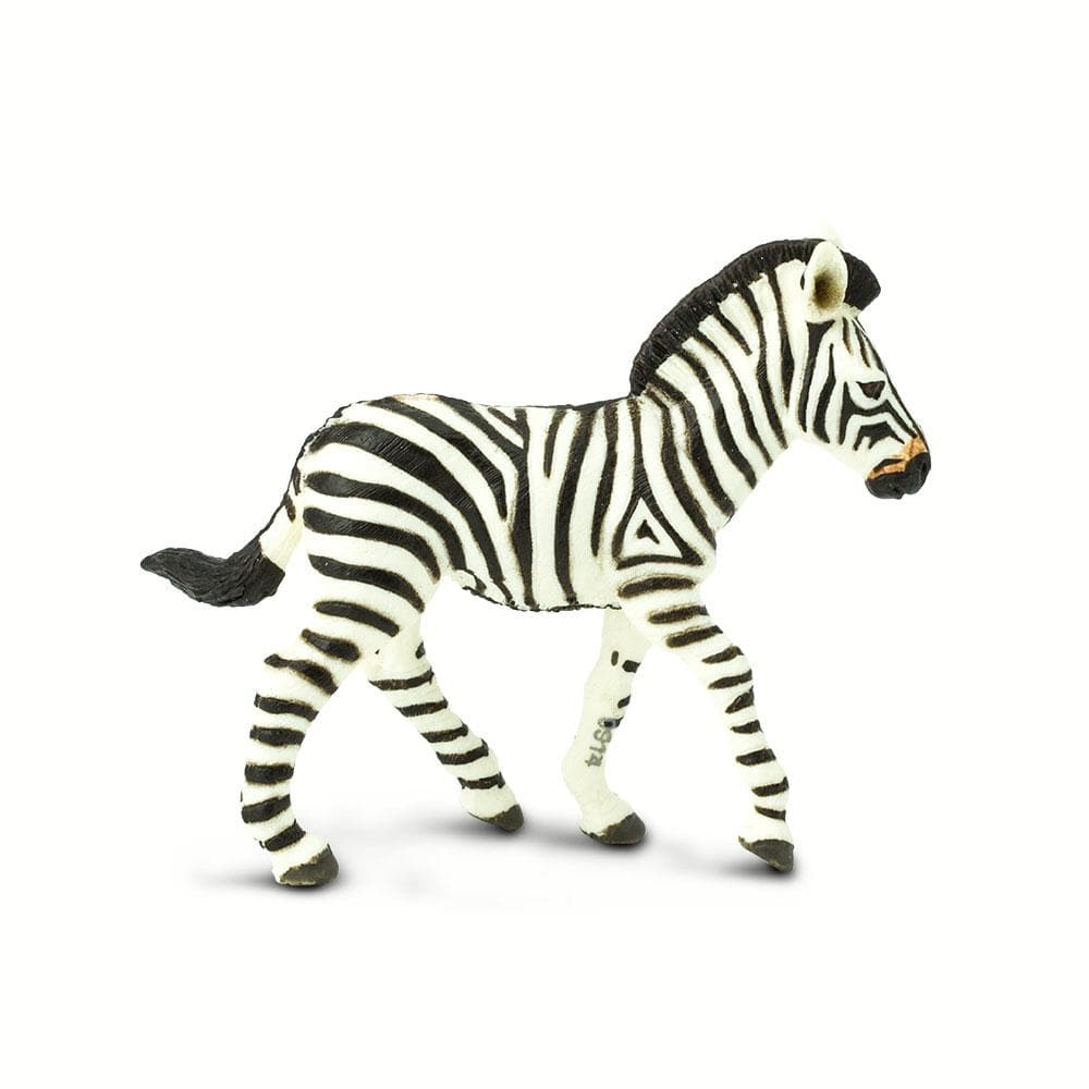 Zebra Foal Toy | Wildlife Animal Toys | Safari Ltd®