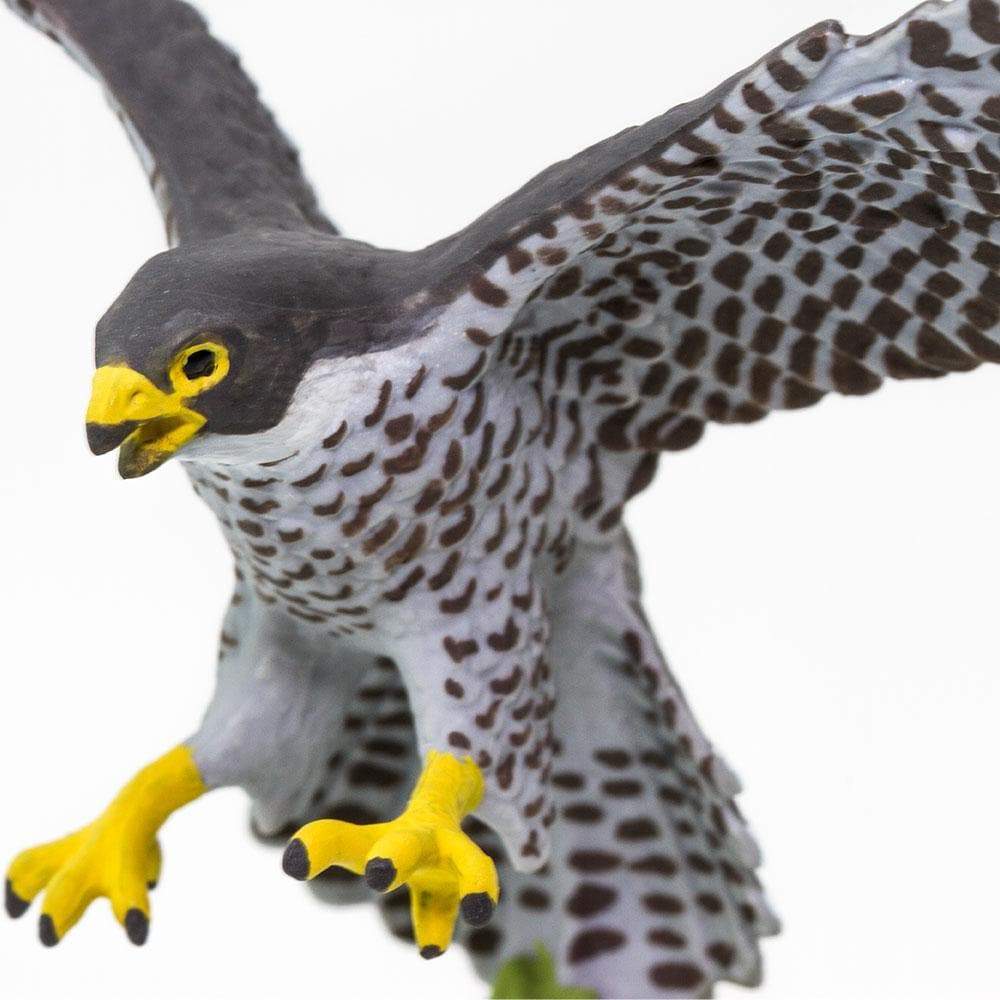 Peregrine Falcon Toy – Wings of the World Bird Figure Safari Ltd