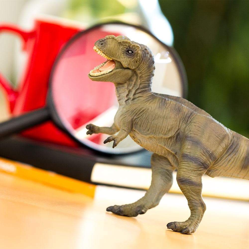 Tyrannosaurus Rex Toy | Dinosaur Toys | Safari Ltd®