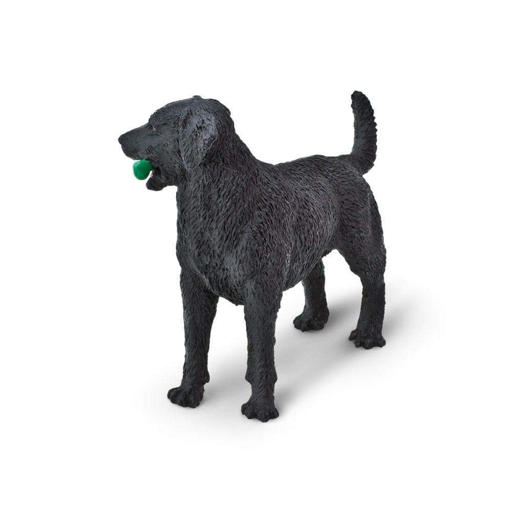 Black Labrador Toy | Safari Ltd®