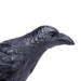 Raven Toy | Wildlife Animal Toys | Safari Ltd®