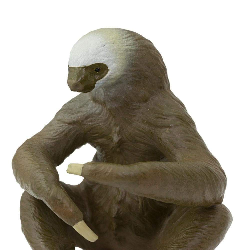 Two-Toed Sloth Toy | Wildlife Animal Toys | Safari Ltd®