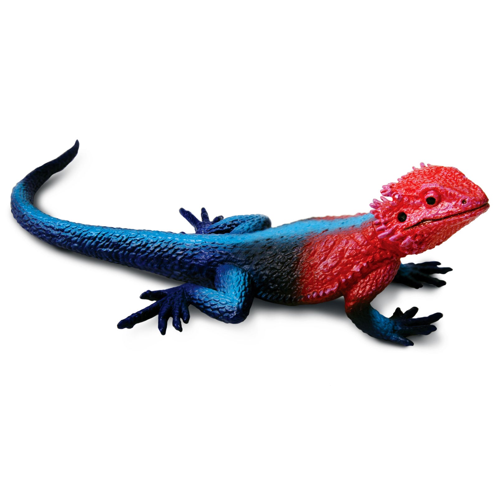 Mwanza Flat-Headed Rock Agama Toy Figure | Safari Ltd®