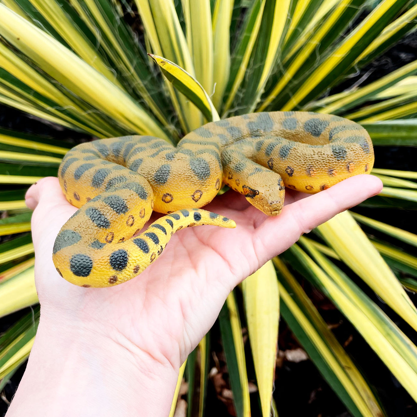 Green Anaconda Snake Toy Figure |  | Safari Ltd®