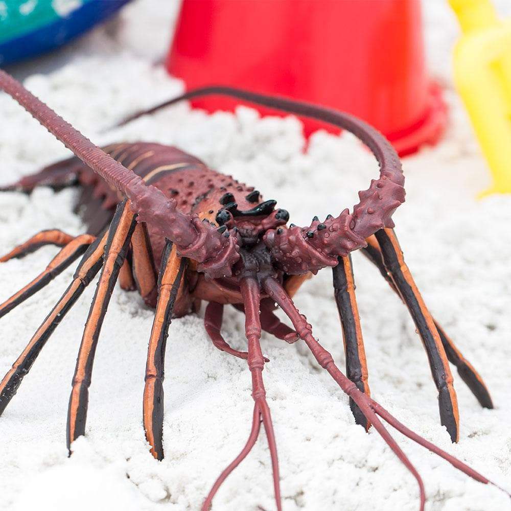 Spiny Lobster Toy | Incredible Creatures | Safari Ltd®