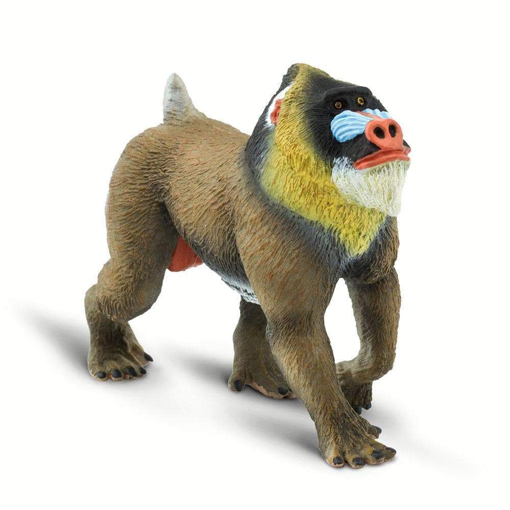 Mandrill Toy | Wildlife Animal Toys | Safari Ltd®
