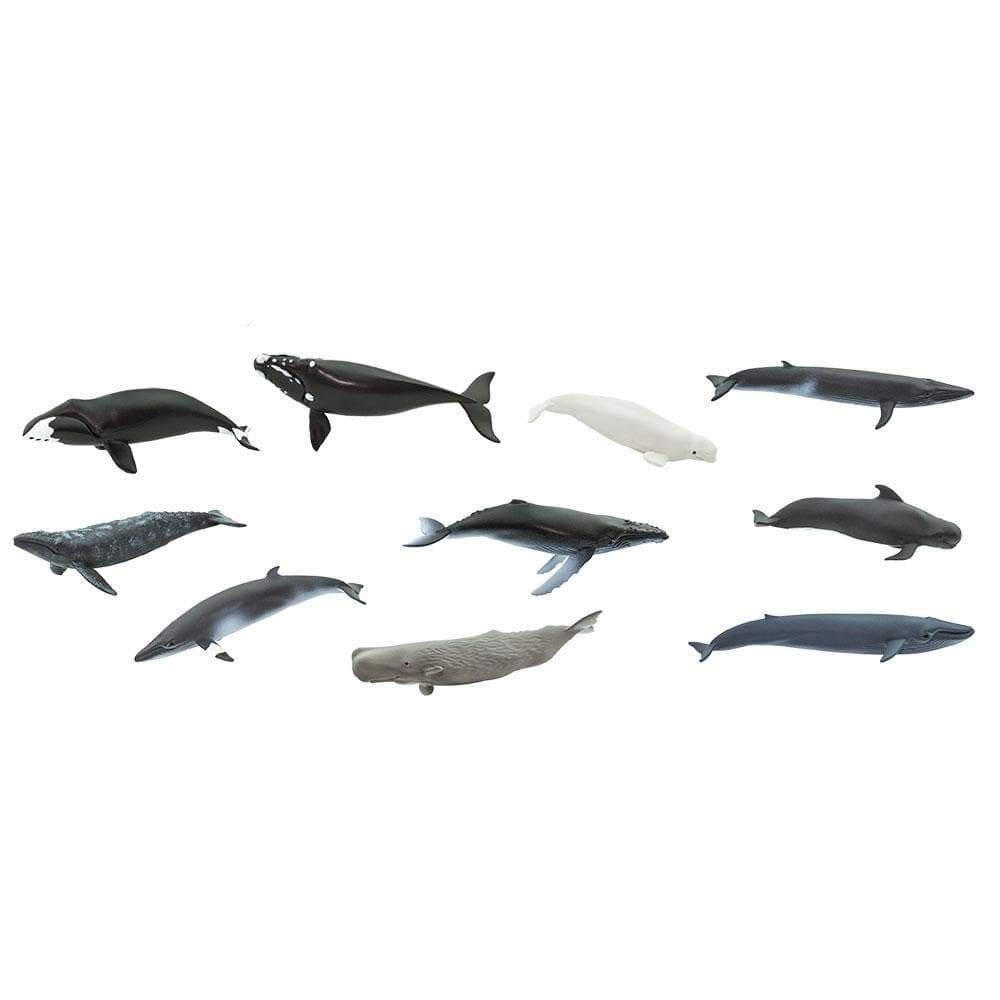thumbnail image 2 of Safari Ltd Whales And Dolphins Toob – Mini Figure Set – Educational Toy For Kids 5+ 2 of 6