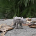 African Elephant Baby Toy | Wildlife Animal Toys | Safari Ltd®