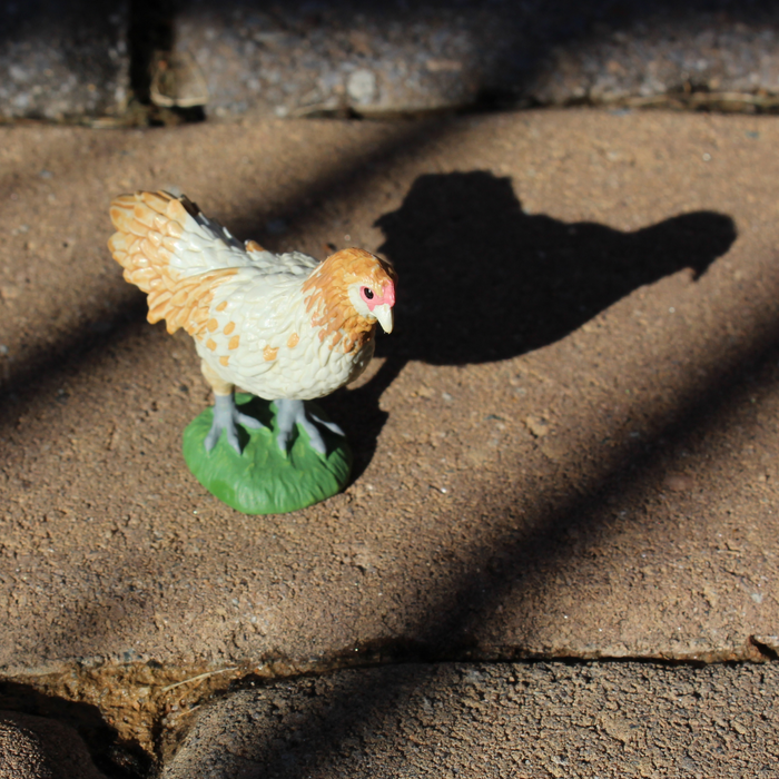 Ameraucana Chicken Toy | Farm | Safari Ltd®