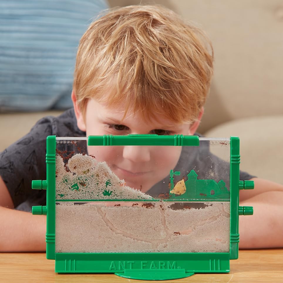 Uncle Milton Ant Farm | Safari Ltd®