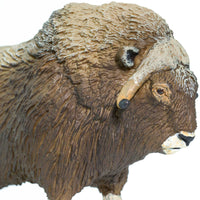 Arctic Animals Bundle