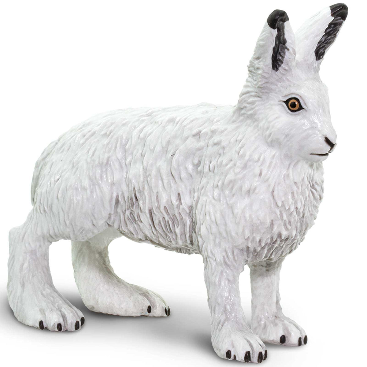 Arctic Animals Bundle