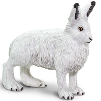 Arctic Animals Bundle