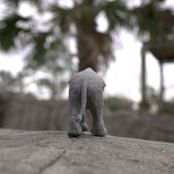 Asian Elephant Baby Toy | Wildlife Animal Toys | Safari Ltd®
