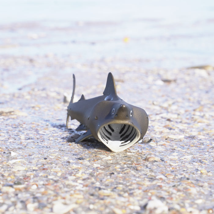 Basking Shark Toy | Sea Life | Safari Ltd®